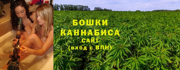 мдпв Протвино