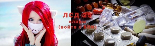 крисы Покров