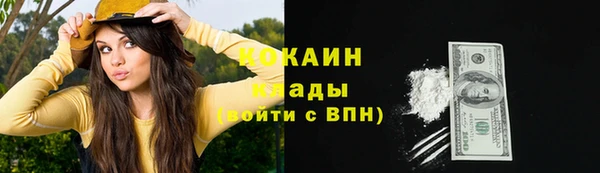 крисы Покров