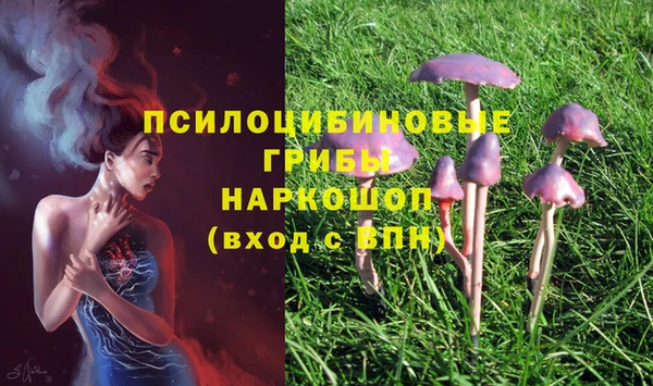 каннабис Покачи