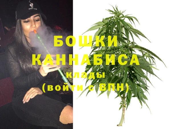 каннабис Покачи
